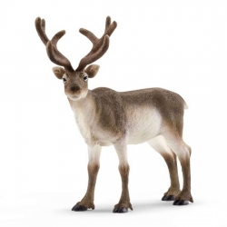 Renne Schleich