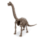 Déterre un squelette de dino - Brachiosaure