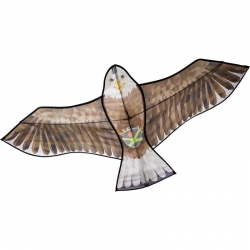 Terra Kids - Cerf-volant