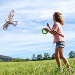 Terra Kids - Cerf-volant