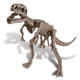 Déterre un squelette de dino - Tyrannosaure Rex