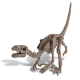Déterre un squelette de dino - Velociraptor