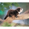 Marionnette loutre de riviere