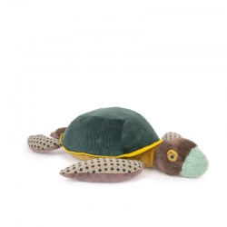 Tout autour du monde - Grande tortue