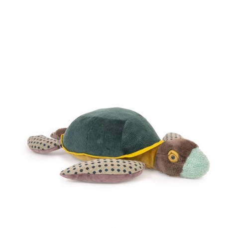 Tout autour du monde - Grande tortue