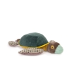 Tout autour du monde - Grande tortue
