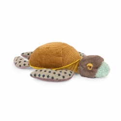 Tout autour du monde - Petite tortue