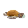 Tout autour du monde - Petite tortue