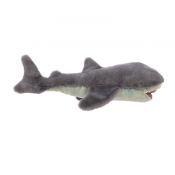 Tout autour du monde - Grand requin