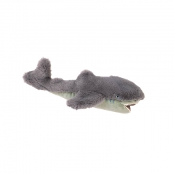 Tout autour du monde - Petit requin