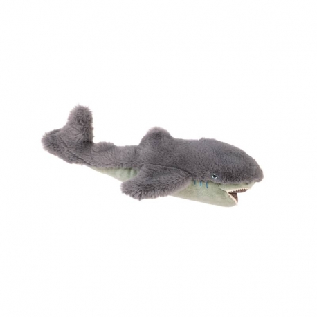 Tout autour du monde - Petit requin