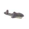 Tout autour du monde - Petit requin