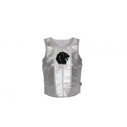 Armure de chevalier argenté