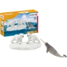 Wild Life - Glissade en folie des ours polaires
