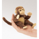 Marionnette à doigt singe