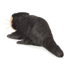 Marionnette à doigt loutre