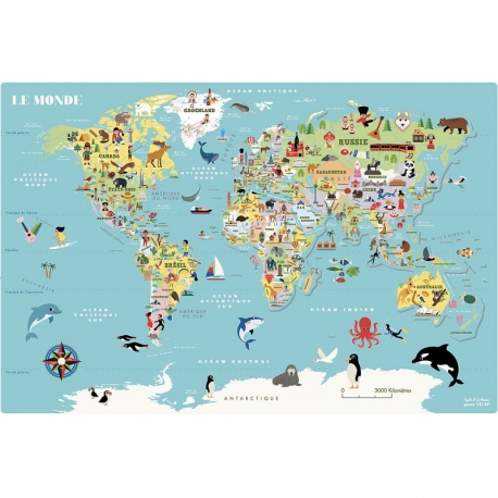 Carte du monde magnétique Ingela Arrhenius
