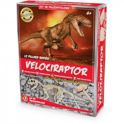 Kit de paléontologie - Vélociraptor