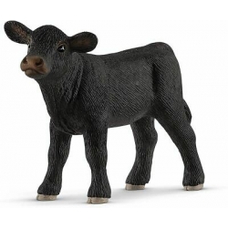 Veau black angus