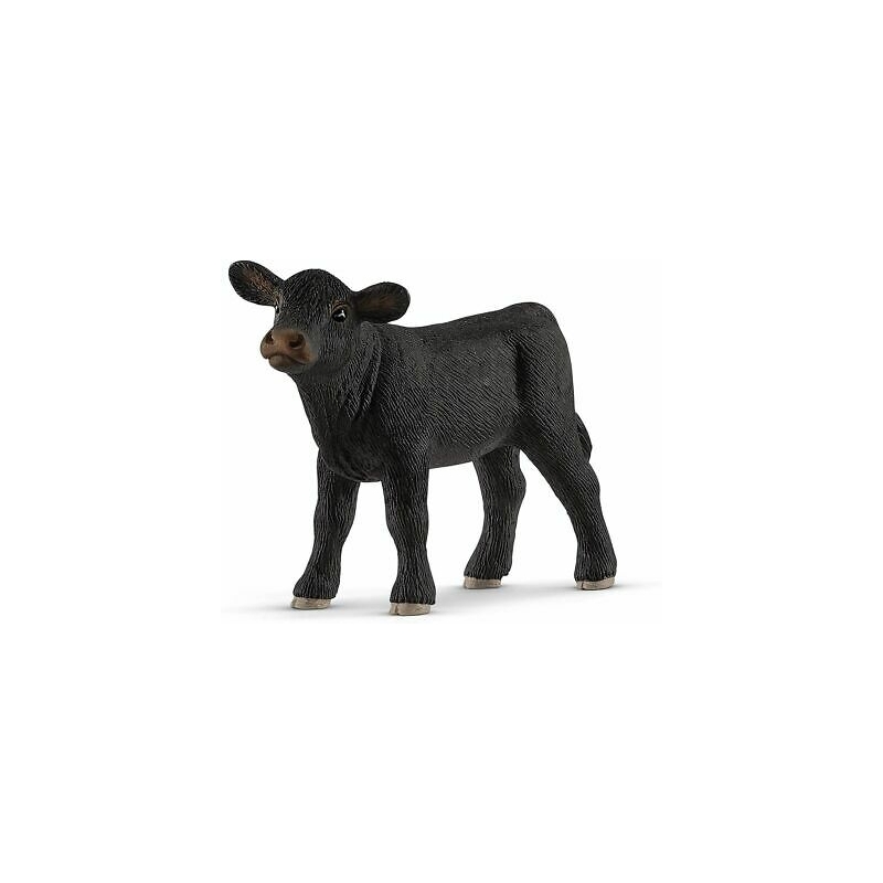 Veau black angus
