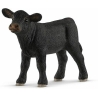 Veau black angus