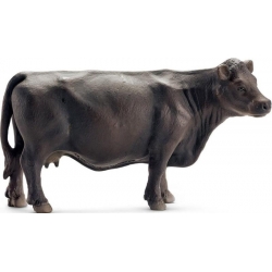 Taureau black Angus