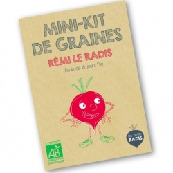 Graines - Rémi le radis