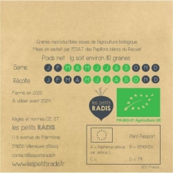 Graines - Rémi le radis