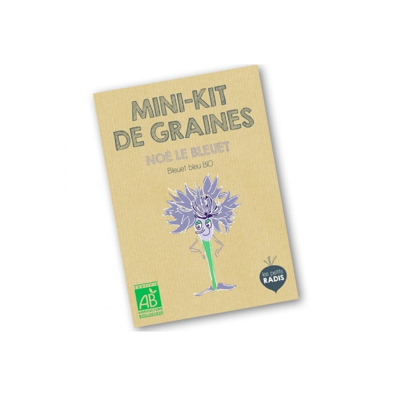 Graines - Noé le bleuet
