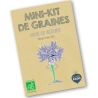 Graines - Noé le bleuet