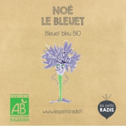 Graines - Noé le bleuet