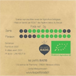 Graines - Gaspard la moutarde