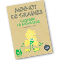 Graines - Gaspard la moutarde