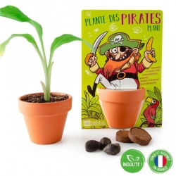 Radis et capucine - Plante des pirates