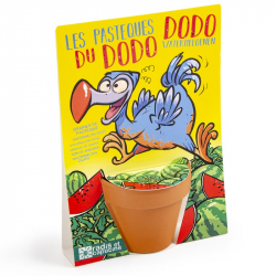 Radis et capucine - Les pastèques du Dodo