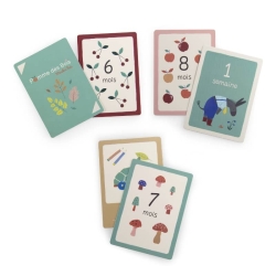 Pomme des bois - Cartes Mes 12 premiers mois