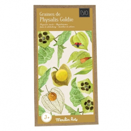 Le jardin du moulin - Graines de physalis