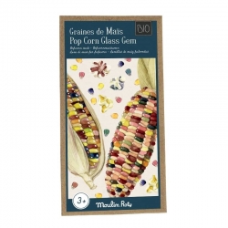 Le jardin du moulin - Graines de maïs popcorn