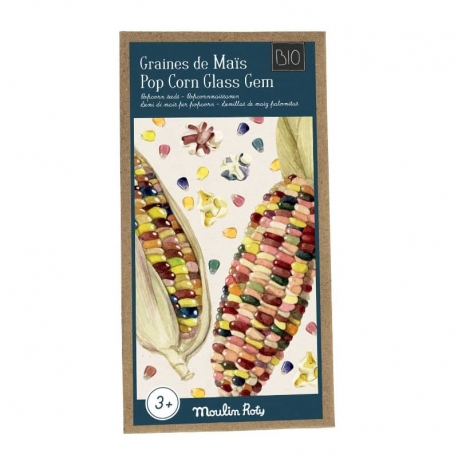 Le jardin du moulin - Graines de maïs popcorn