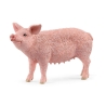 Cochon Schleich