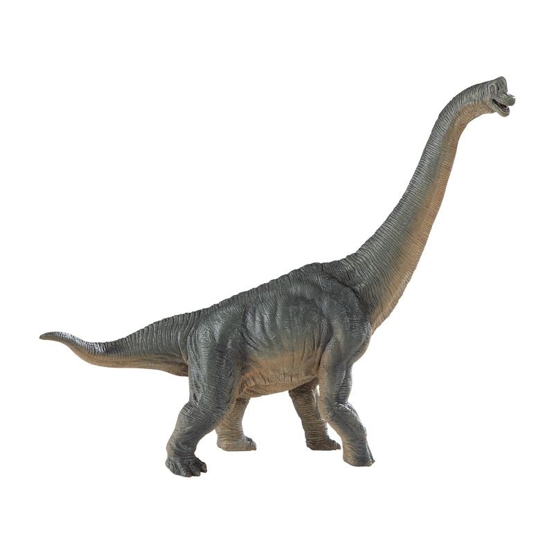 Brachiosaure