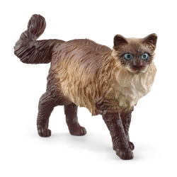 Chat Ragdoll Schleich