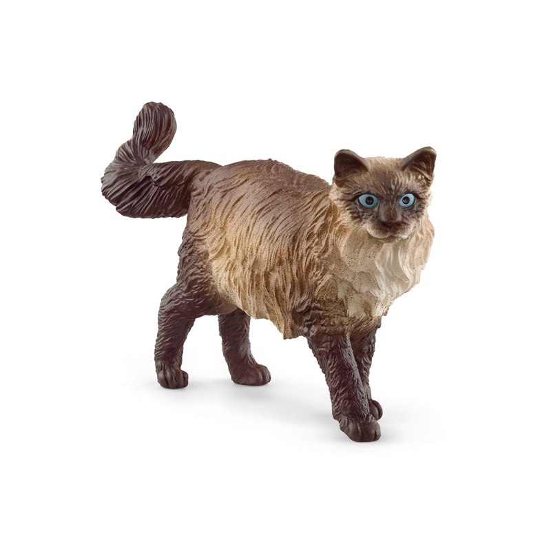 Chat Ragdoll Schleich