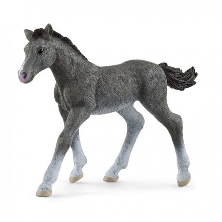 Poulain Trakehnen Schleich