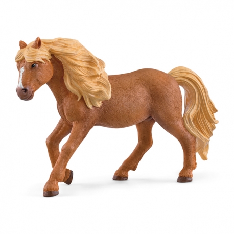 Étalon islandais Schleich