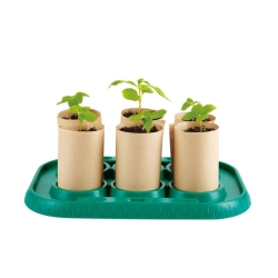 Nature fun - Mini serre
