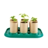 Nature fun - Mini serre