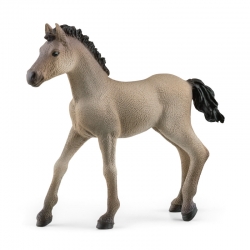 Poulain CriolloDefinitivo Schleich