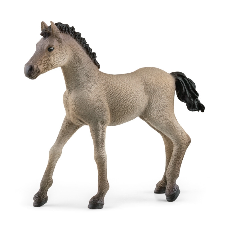 Poulain CriolloDefinitivo Schleich