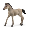 Poulain CriolloDefinitivo Schleich
